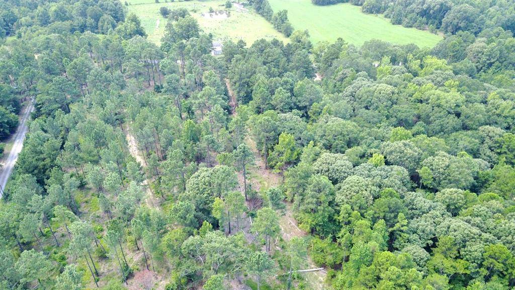 Bullard, TX 75757,0000 County Rd 3506