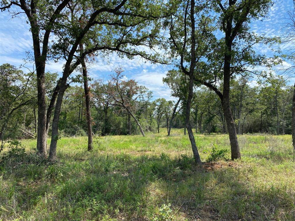 Smithville, TX 78957,TBD High Crossing Road - Tract 6