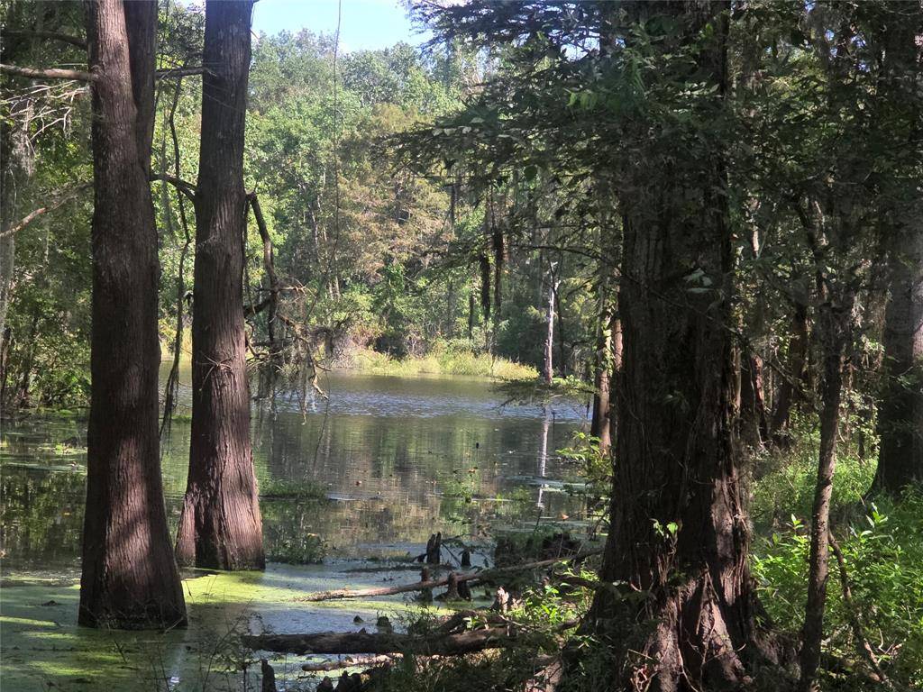 Dayton Lakes, TX 77535,TBD Undeveloped