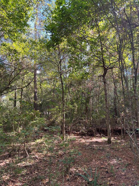 Huffman, TX 77336,Lot 30 Jack Pine DR