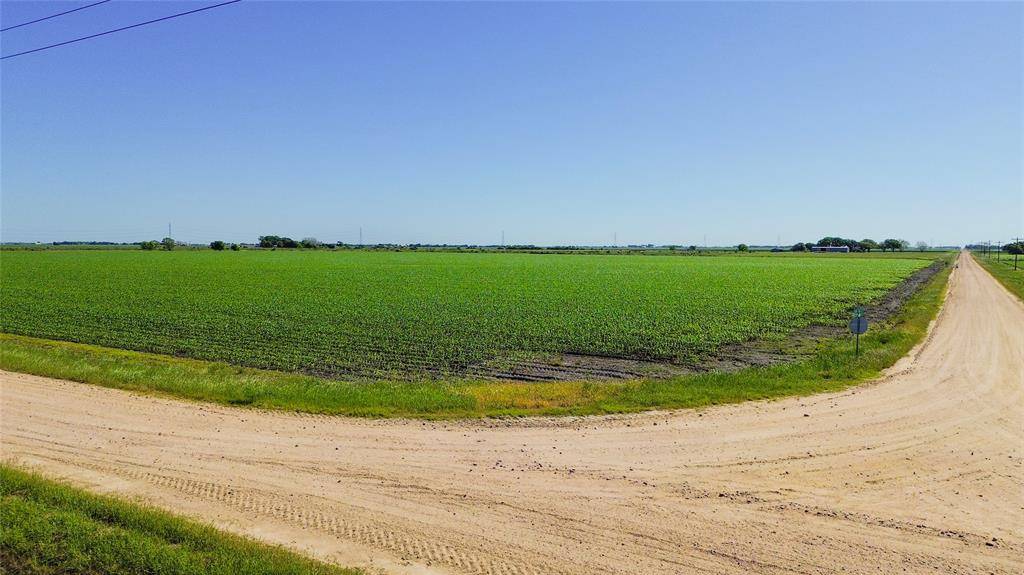 Louise, TX 77455,Lot 7 County Road 326