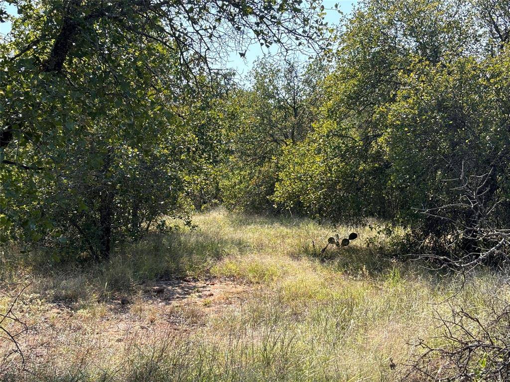 Richland Springs, TX 76871,1603 CR 253