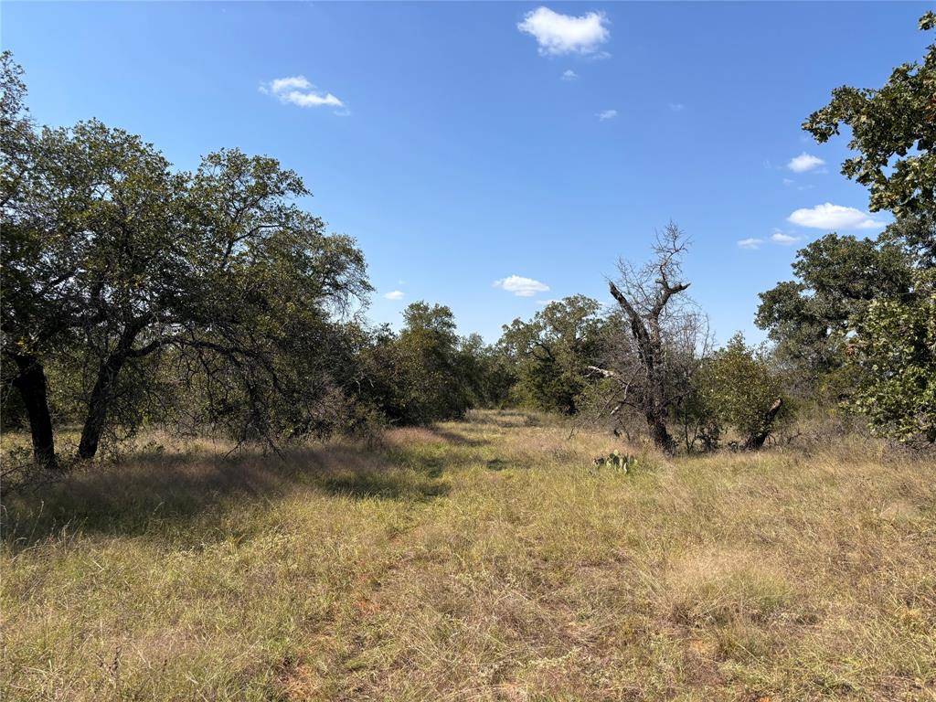 Richland Springs, TX 76871,1603 CR 253