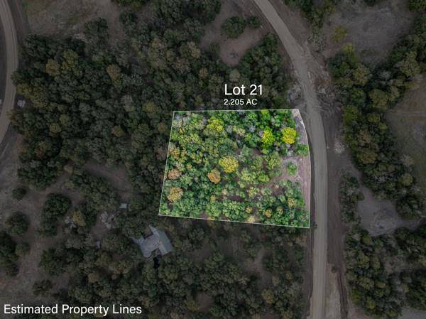 Round Top, TX 78954,TBD Wendy Lane - Lot 21