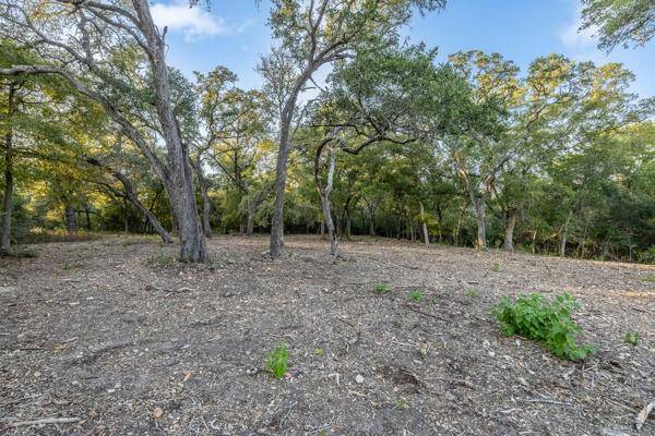 Round Top, TX 78954,TBD Wendy Lane - Lot 21