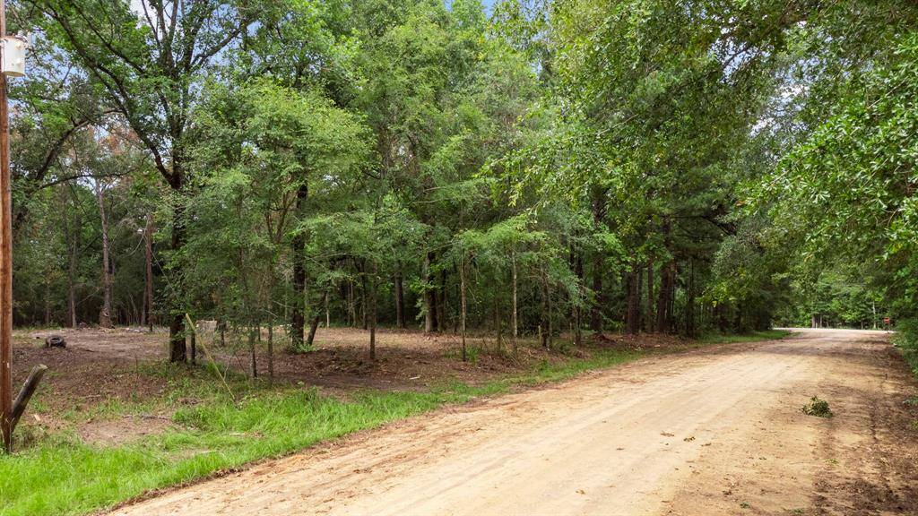 Huntsville, TX 77340,6 Buckthorn Acres DR