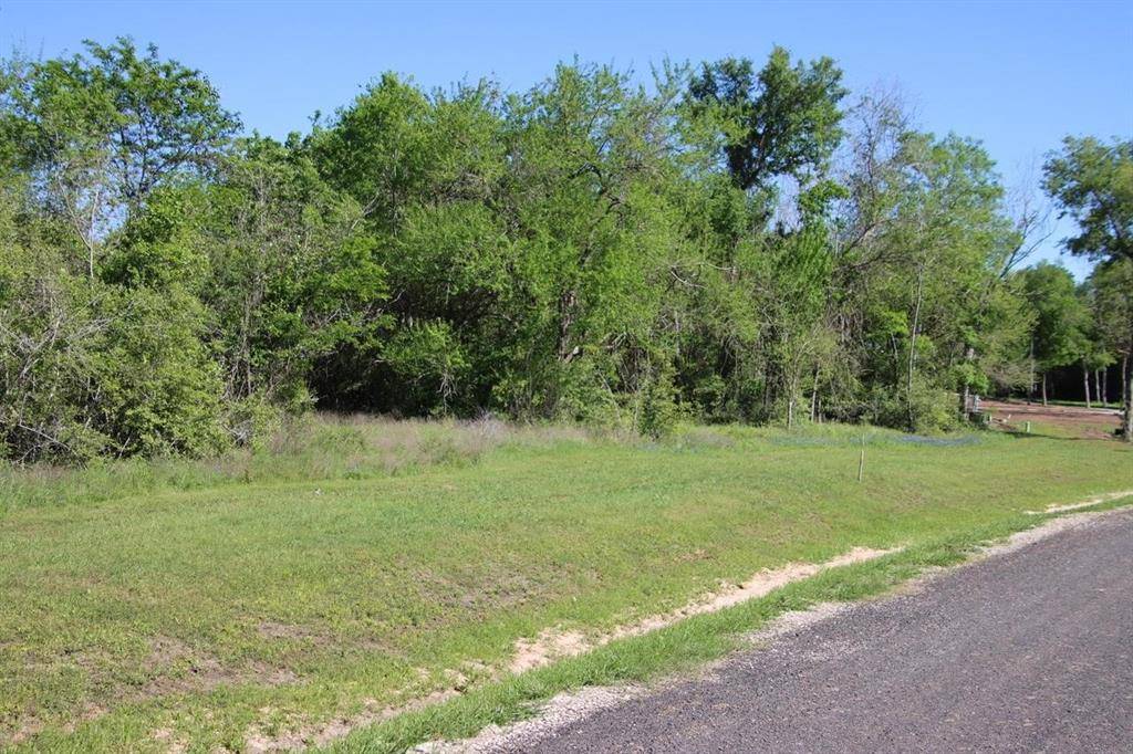 Washington, TX 77880,000 Wooded Reserve CT