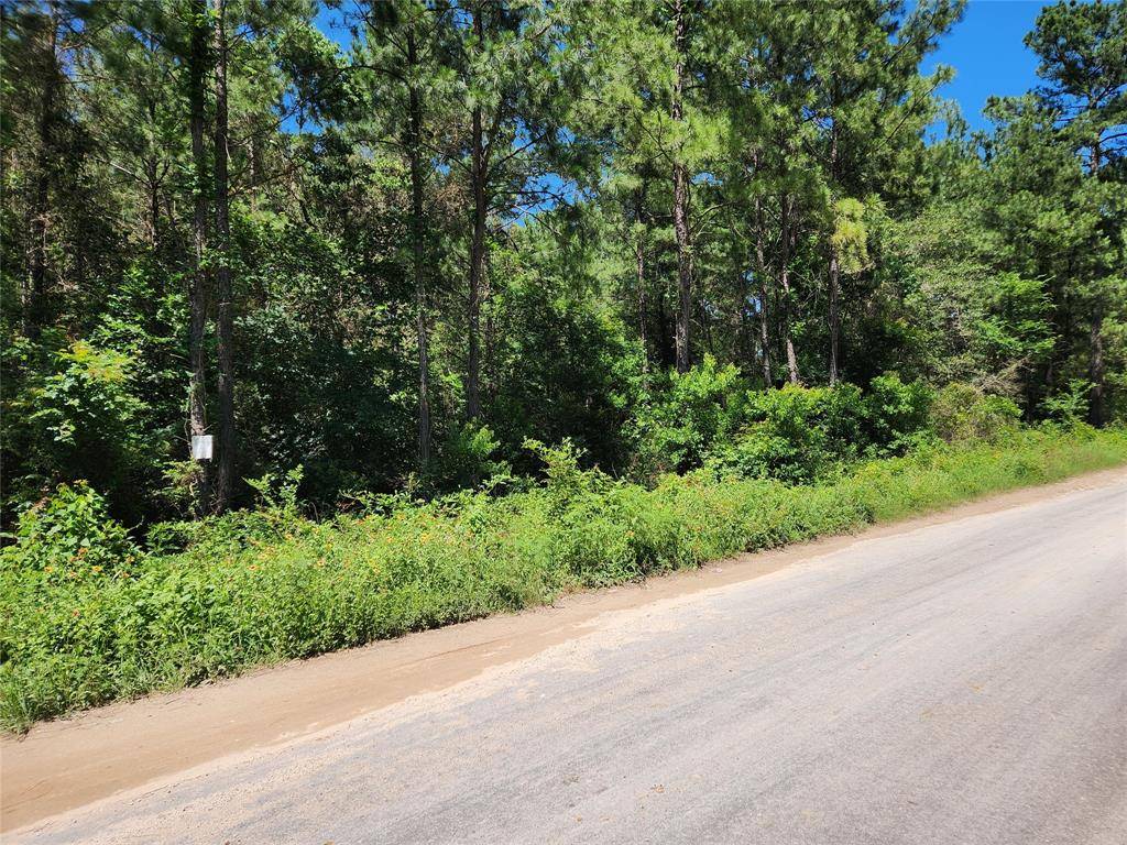 Plantersville, TX 77363,Lot 42 White Oak DR