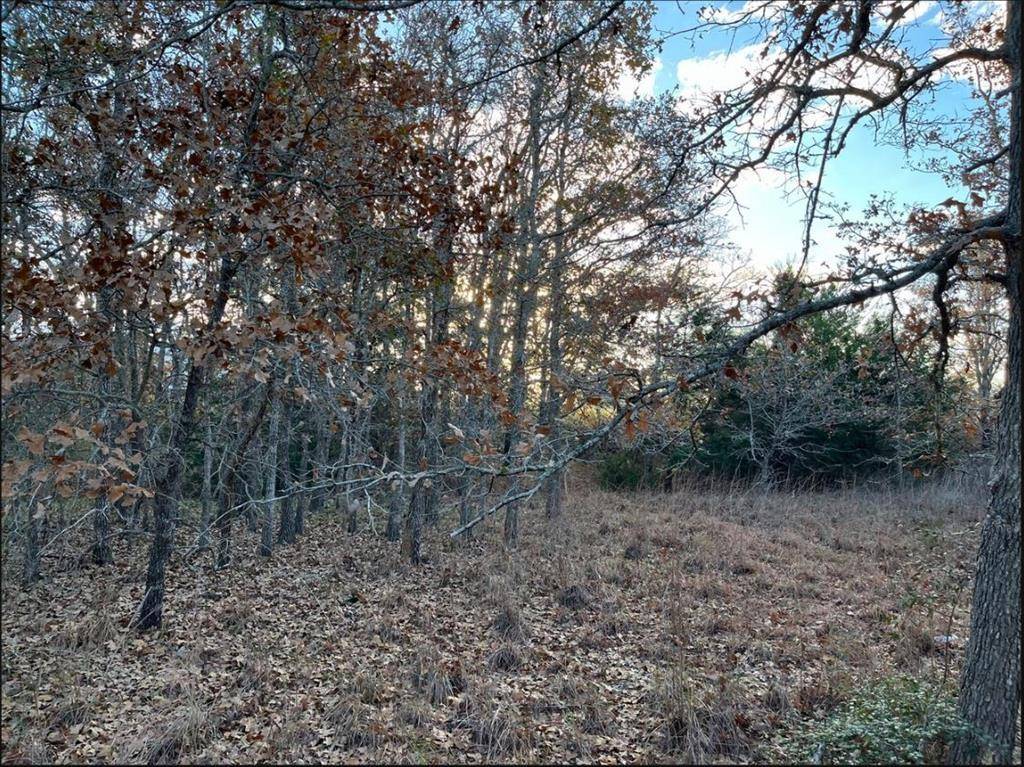 Somerville, TX 77879,TBD Lot 14 Shady Oaks Lane