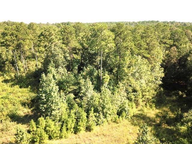 Colmesneil, TX 75938,000 Summit Trace Turpentine DR