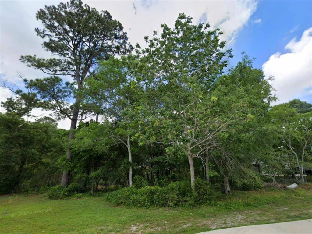 Dickinson, TX 77539,0 Pine LN