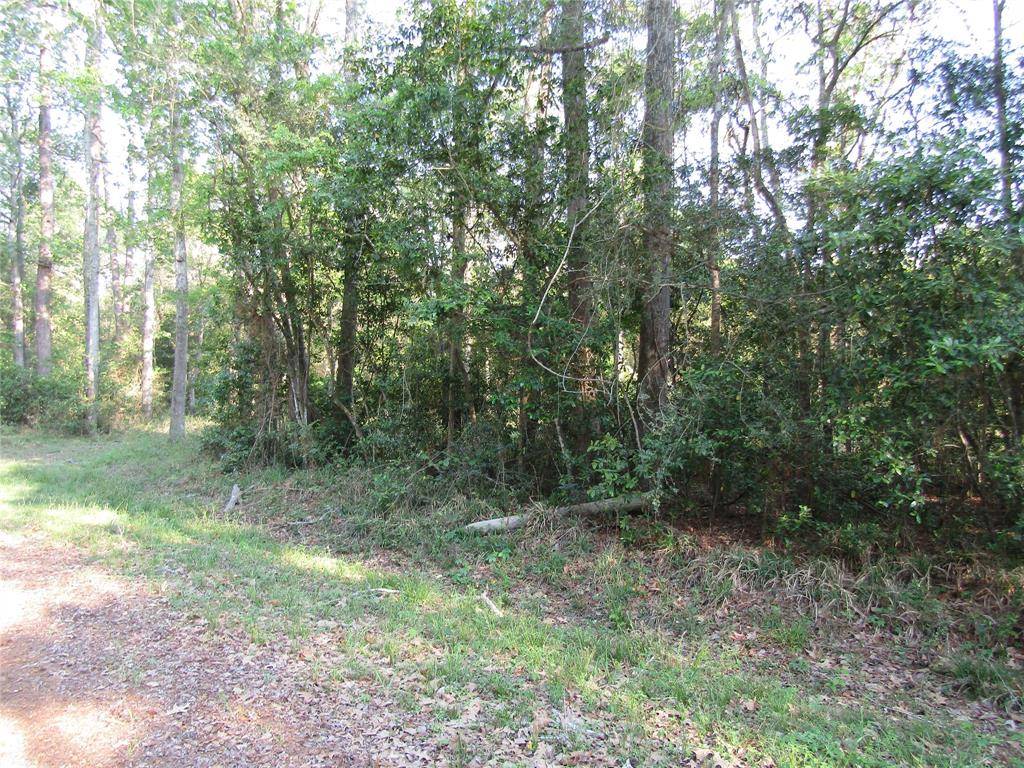 New Caney, TX 77357,Lot 355 Holly Lane