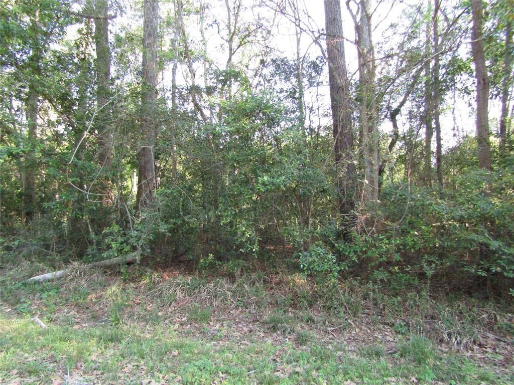 New Caney, TX 77357,Lot 355 Holly Lane