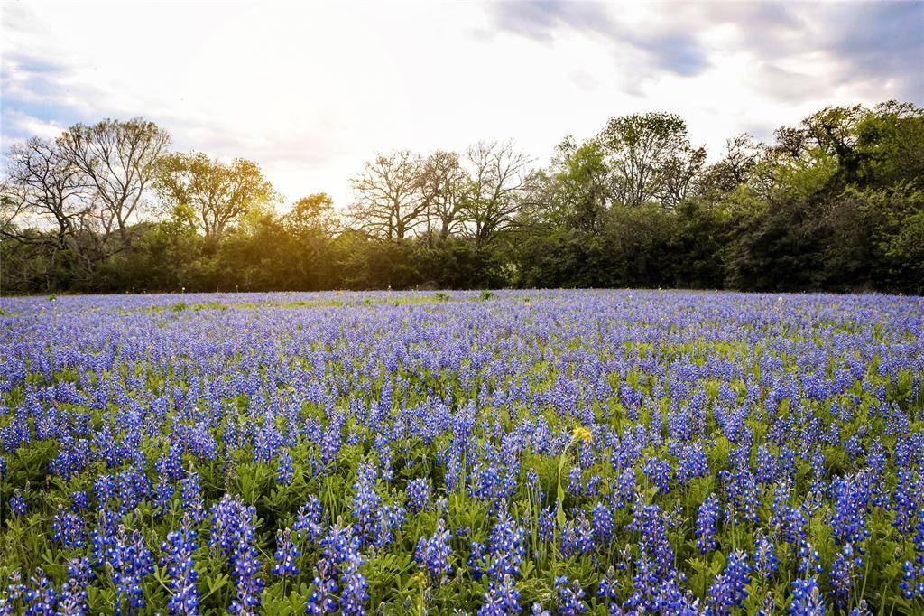 Brenham, TX 77833,0 Old Masonic Road, Lot 1