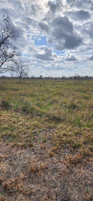 Rosharon, TX 77583,11703 County Road 48