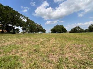 Columbus, TX 78934,1670 Labrador Lane