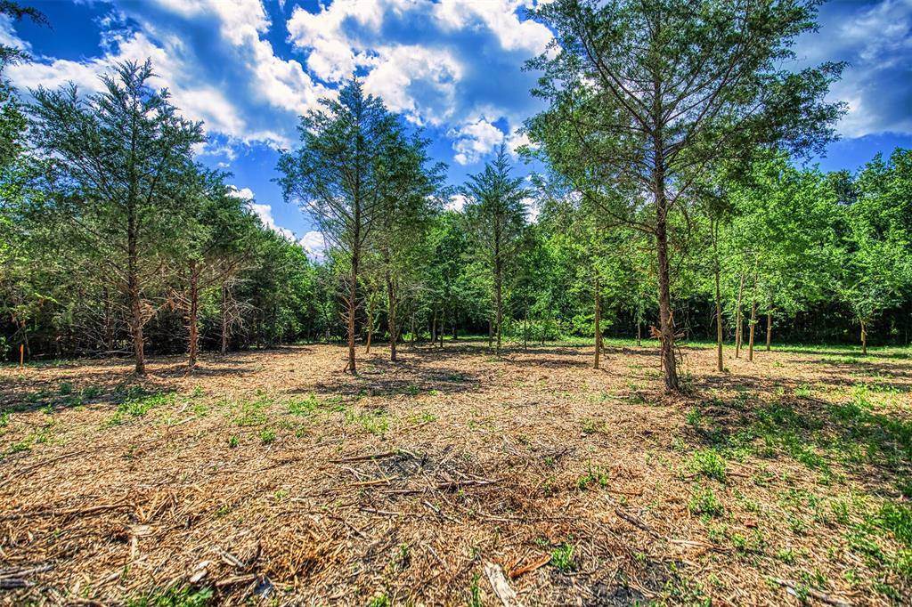 Chappell Hill, TX 77426,Lot 9 Wonder Hill RD