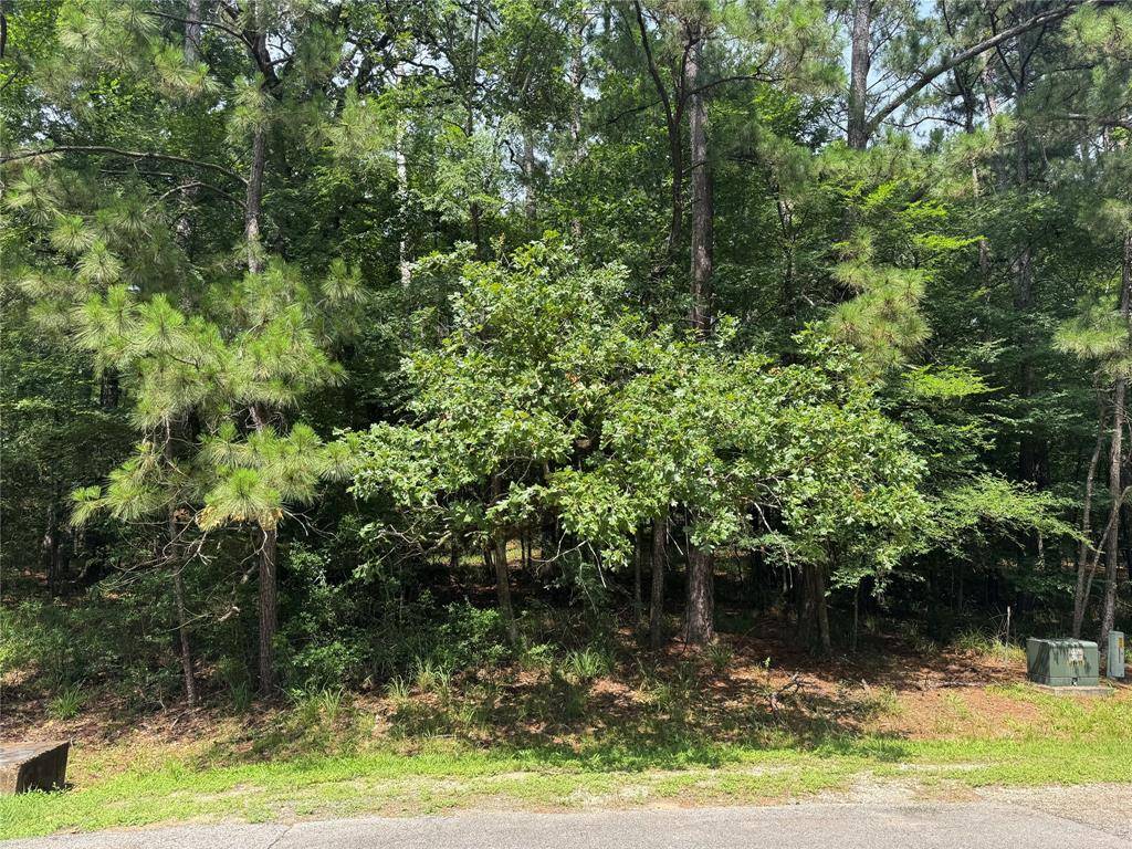 Coldspring, TX 77331,75 Green Tree DR