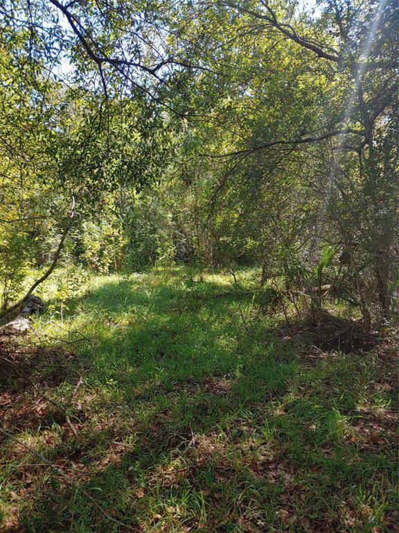 Sour Lake, TX 77659,0 Pineshadows Dr