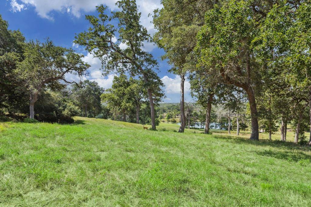 Columbus, TX 78934,102 Labrador LN