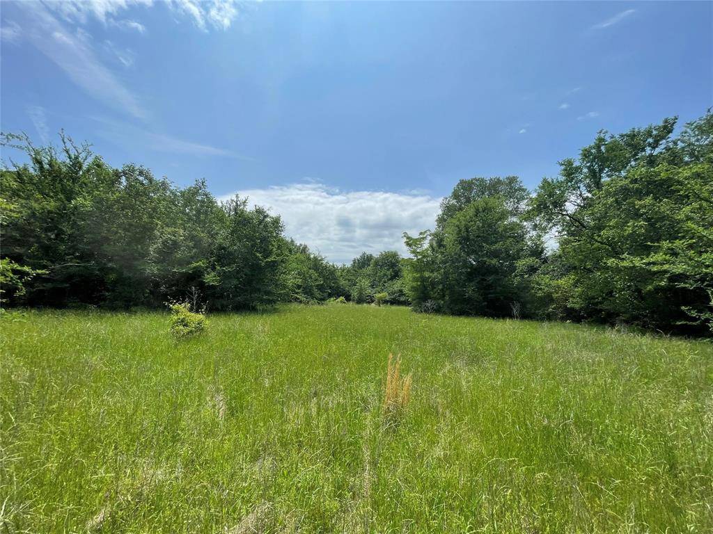 Fairfield, TX 75840,TBD Tract 3 FCR 445