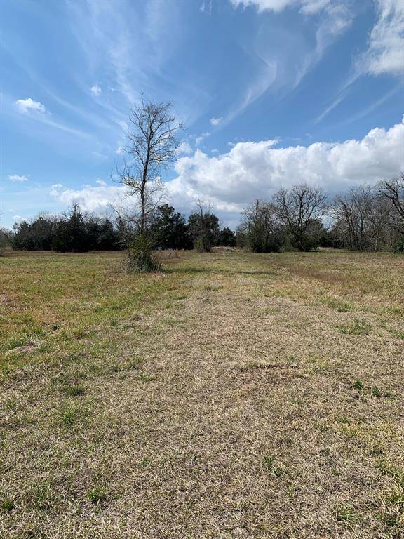 Hitchcock, TX 77563,00 S Delaney Lot A RD S