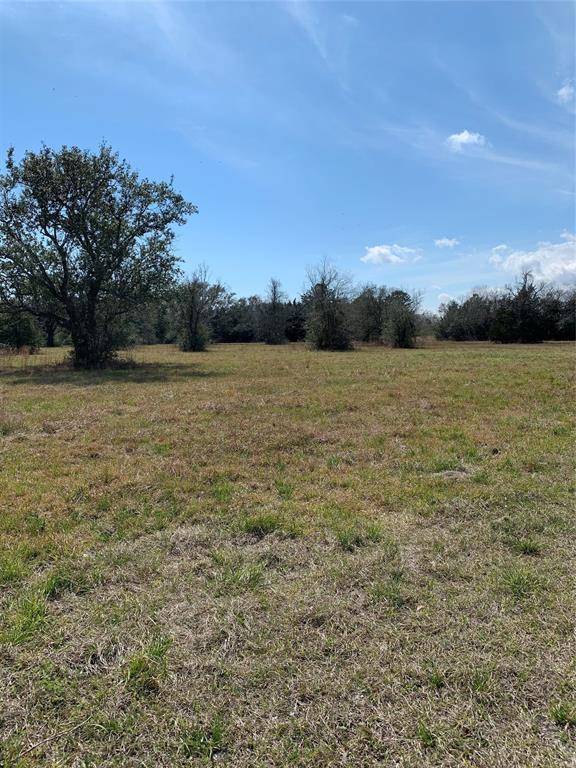 Hitchcock, TX 77563,00 S Delaney Lot A RD S