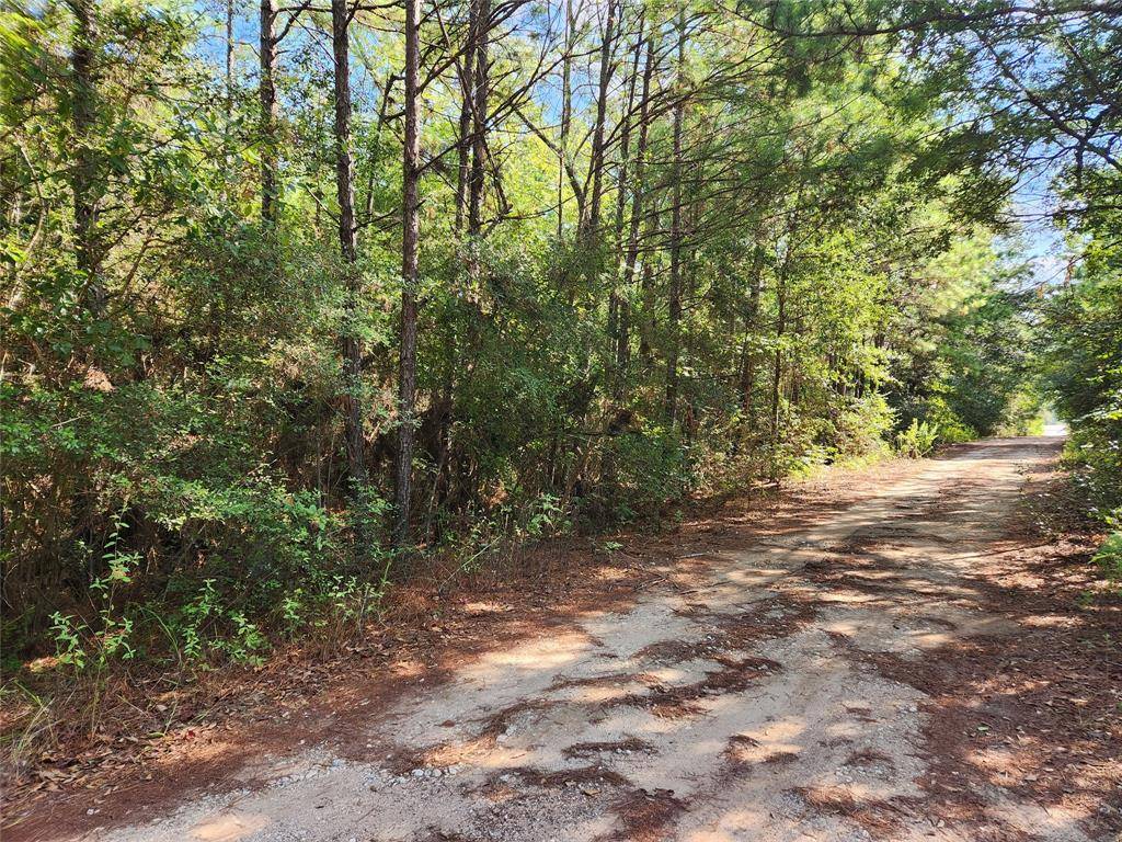 Plantersville, TX 77363,Lot 15 & 16 Tawnyberry LN