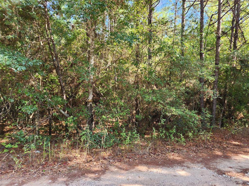 Plantersville, TX 77363,Lot 15 & 16 Tawnyberry LN