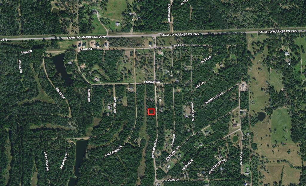 Hempstead, TX 77445,Lot 38 Deerwood Dr