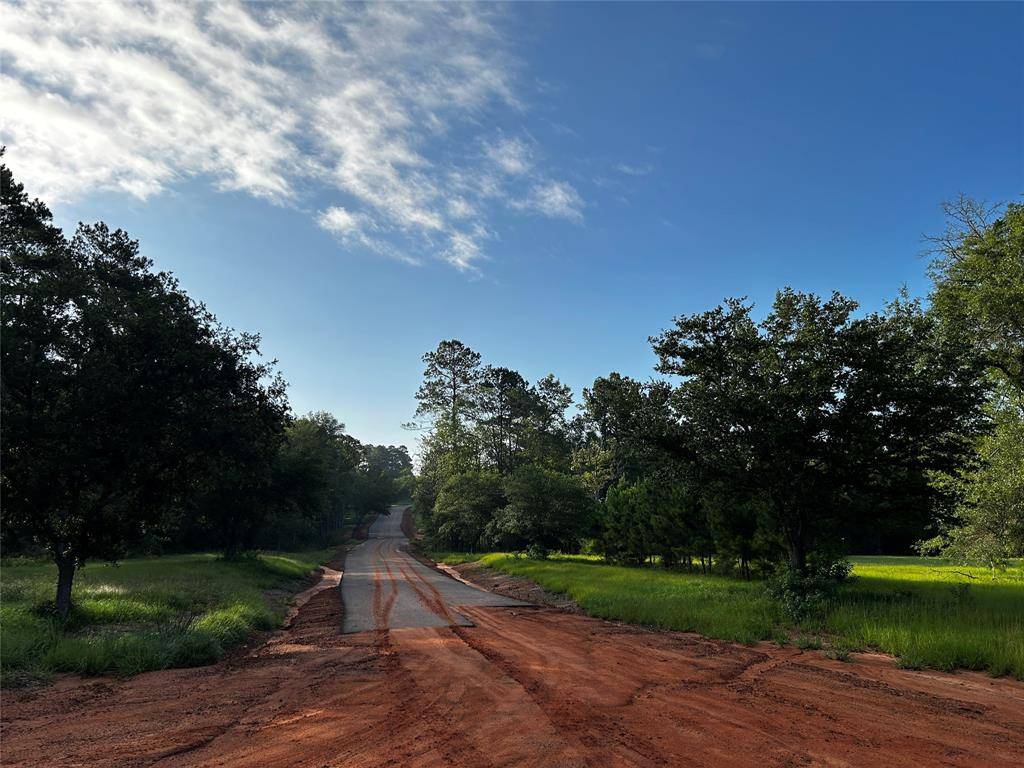 Hillister, TX 77624,LOT 293 TIMBERLINE DR