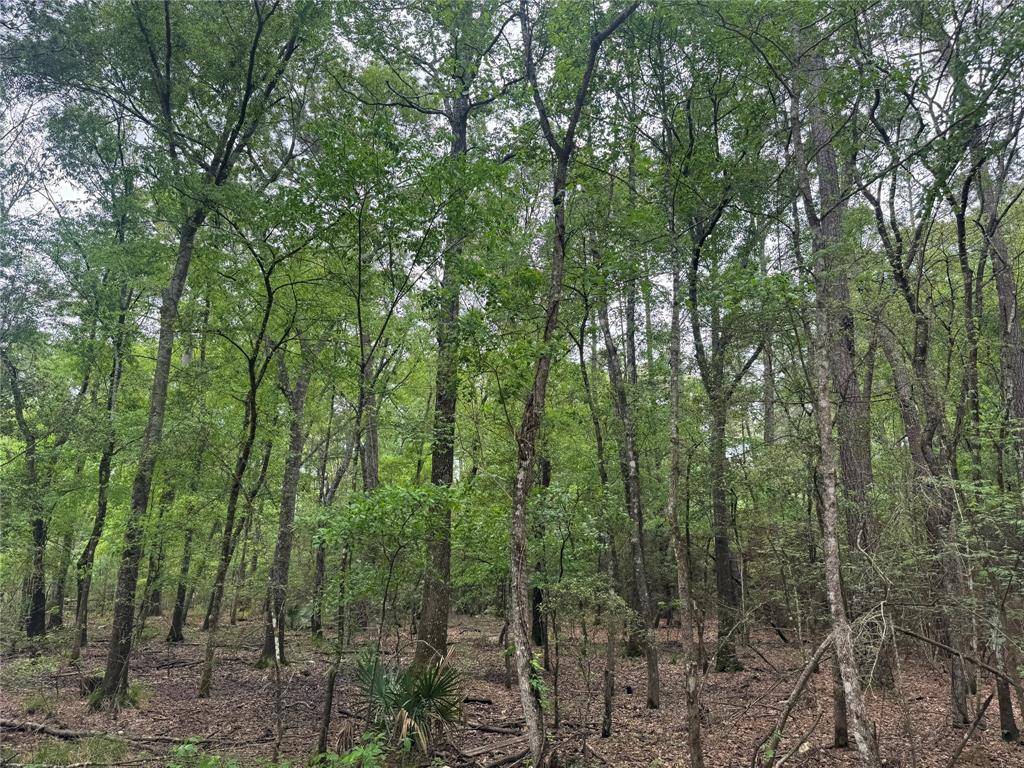 Plantersville, TX 77363,15800 Largent DR