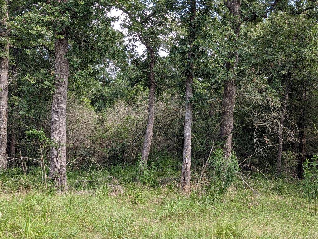 Somerville, TX 77879,TBD Bengals Bend Lot 314