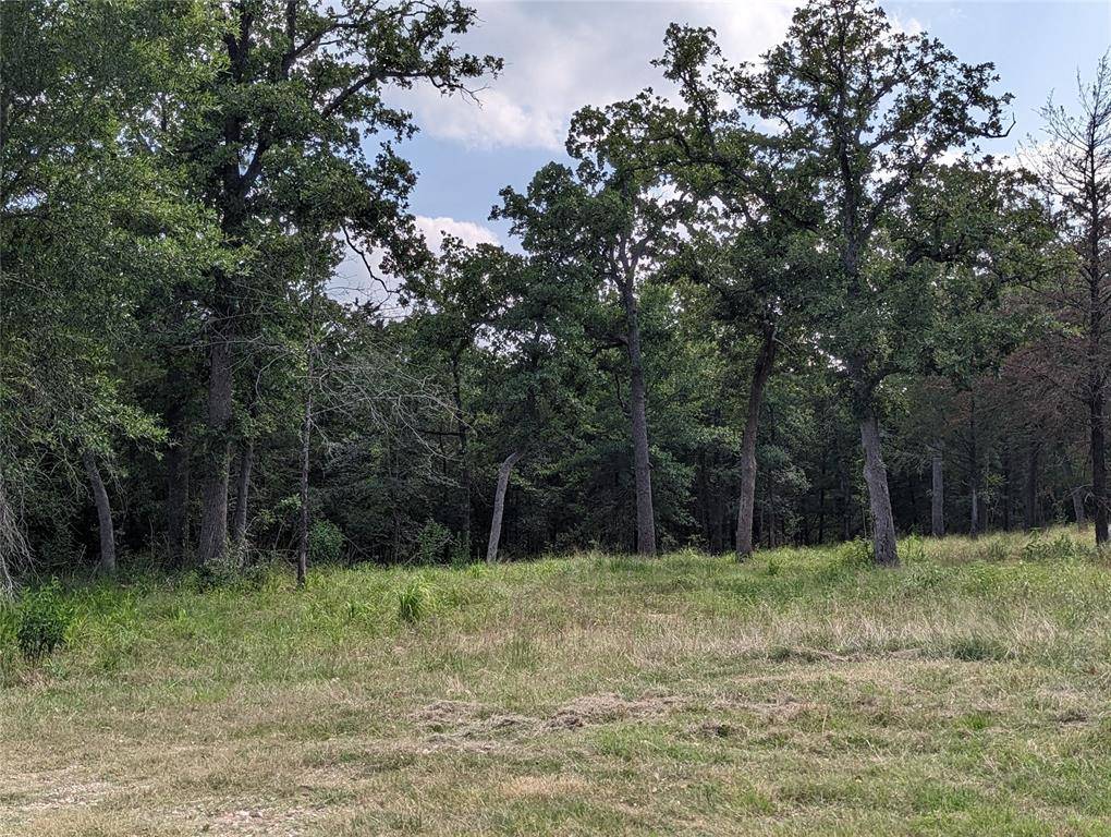 Somerville, TX 77879,TBD Bengals Bend Lot 314