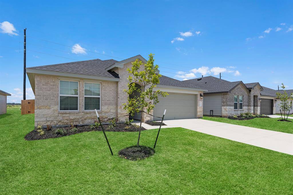 Rosharon, TX 77583,1011 Perezia CT