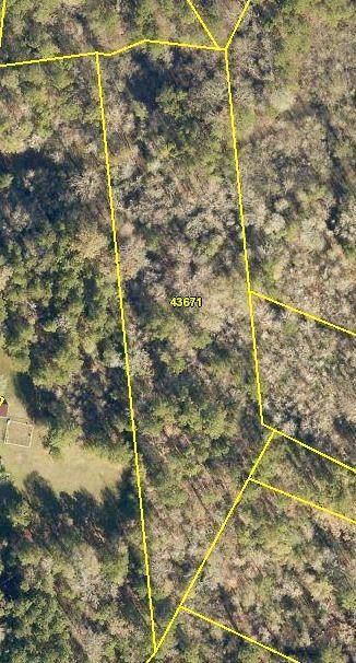 Coldspring, TX 77331,000 Donahoe RD