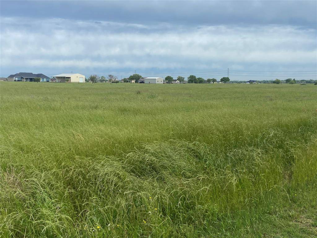 Angleton, TX 77515,318 Brahman TRL