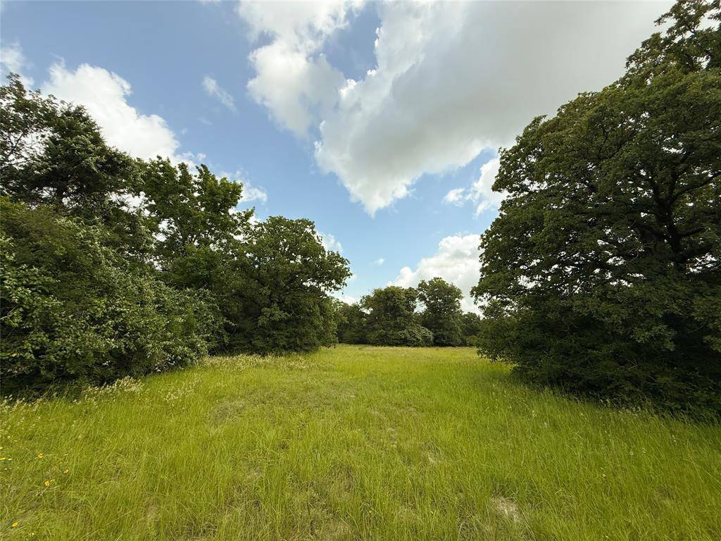 Oakwood, TX 75855,TBD Tract 9 County Road 261