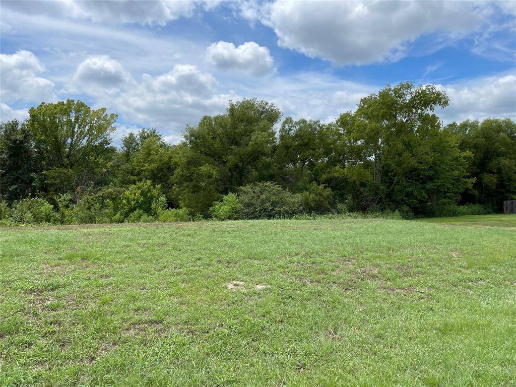 Teague, TX 75860,TBD Lantana Lane