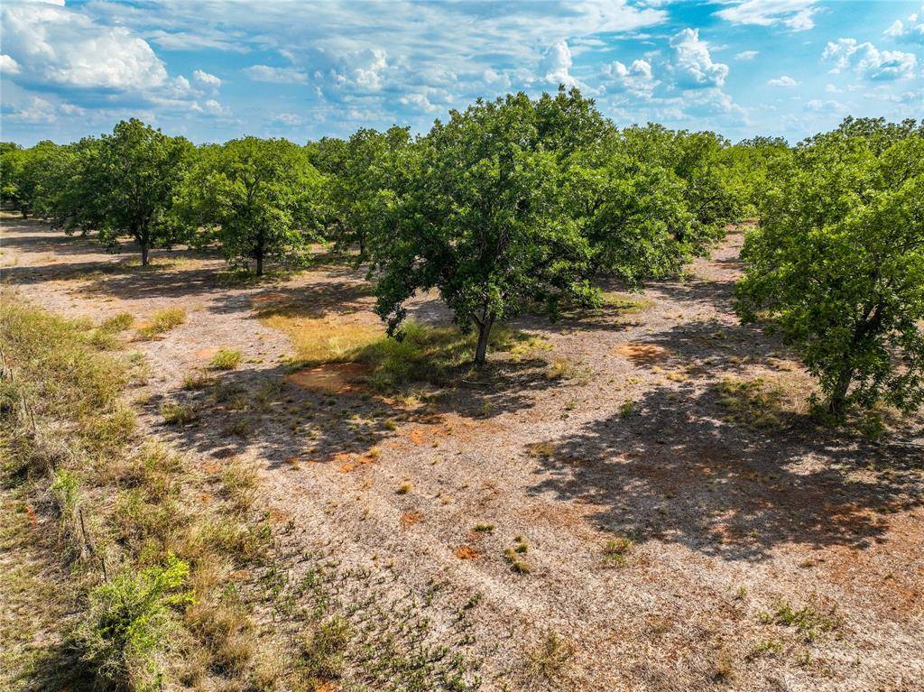 Pleasanton, TX 78064,TR 5 Fm 1784