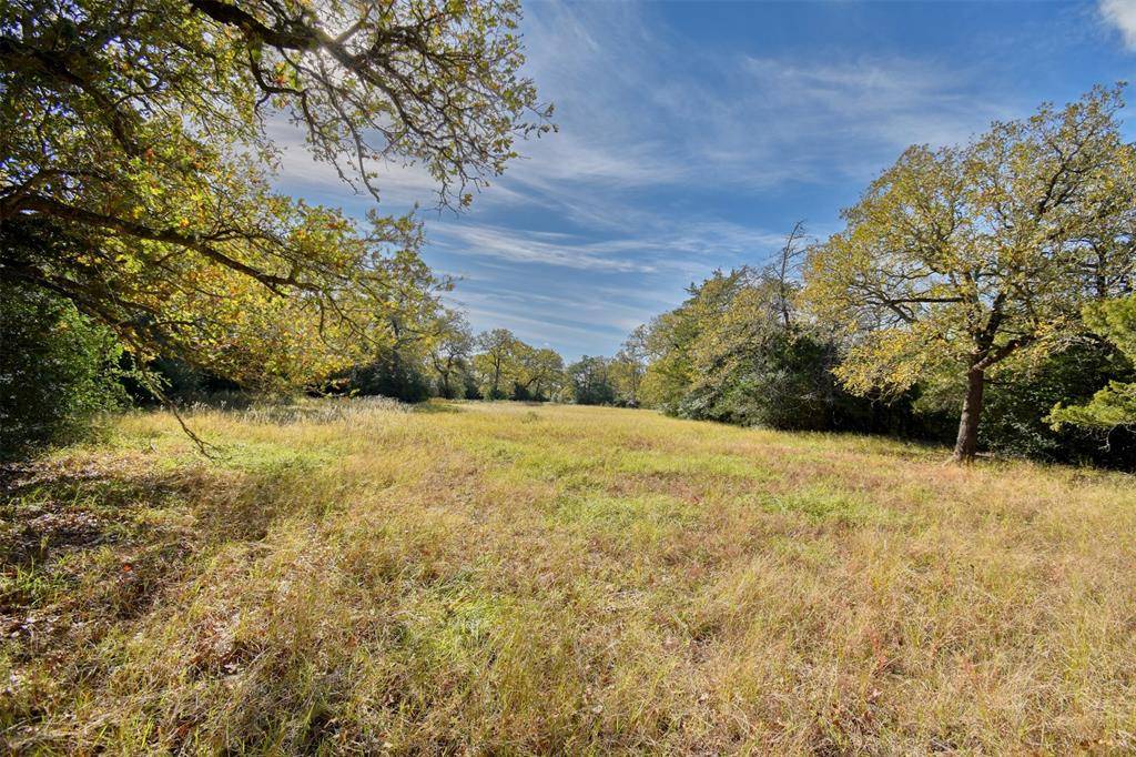 Carmine, TX 78932,TBD (40.58 ac) Schoenemann Rd