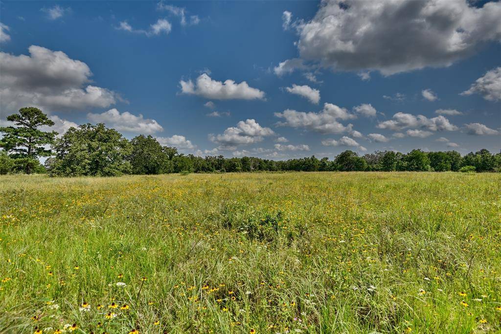 Carmine, TX 78932,TBD Hercules RD