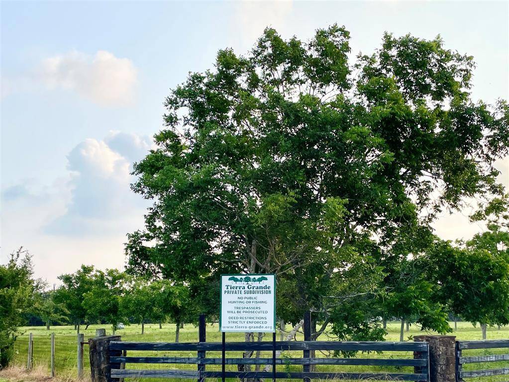 Needville, TX 77461,00 Tierra Grande DR