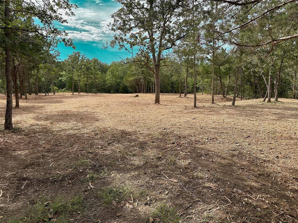 Somerville, TX 77879,1800 Big Berry RD
