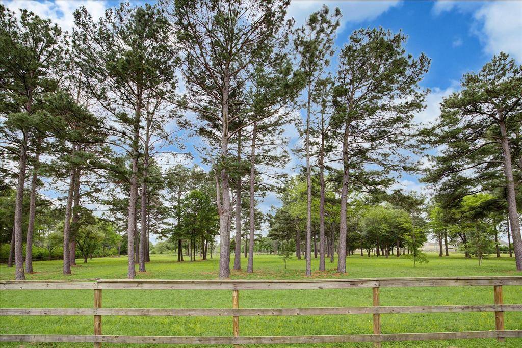 Katy, TX 77494,0 Willow LN