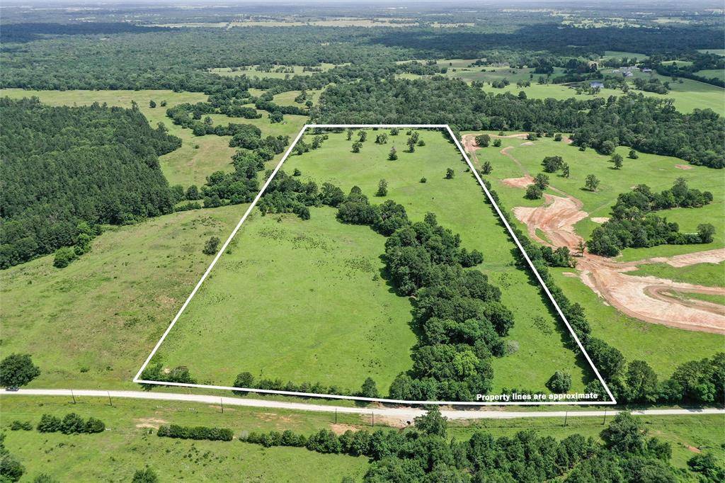 Bedias, TX 77831,42.5 +/- Acres JC Walker LOOP