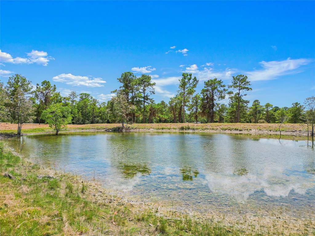 Huntsville, TX 77320,Lot 38 Arizona LN