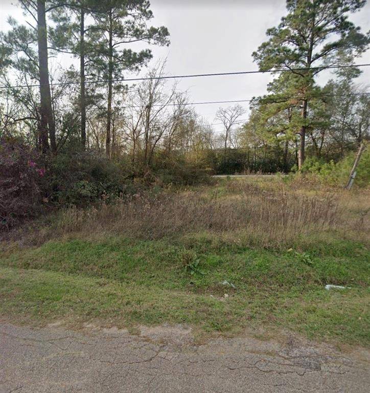 Willis, TX 77318,00 Nelwood ST