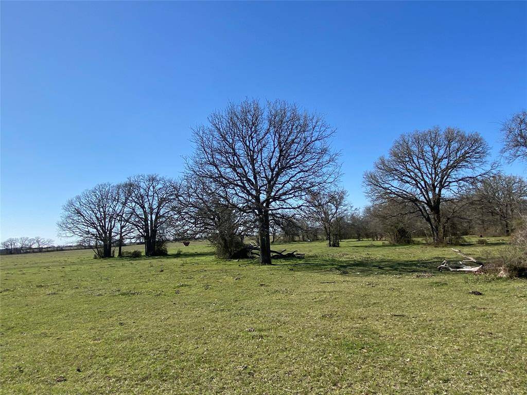 Bedias, TX 77831,15 Acres Lot 7, Hwy 30