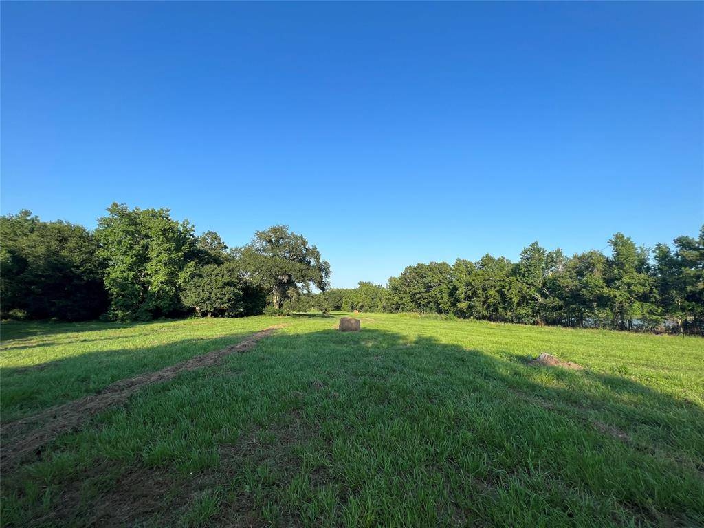 Montgomery, TX 77356,tbd 53 ac Bailey Grove Rd,